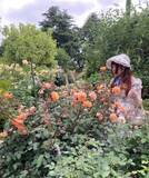 「バラを愛でるロリィタの「理想と現実」　ドレス姿で優雅に鑑賞…と思ったらゴーグル＆防護服で薬剤散布し虫退治「実際は地味な世話ばかり」」の画像1