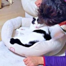 「猫は飼わない！」猛反対していたパパ→2年後の姿がこちら　犬派から一転、メロメロの様子に「結局いちばんハマるやつ」と共感の声