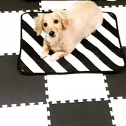 100均のケーキ型がアツイ とにかく使える人気の型をチェック 19年7月1日 エキサイトニュース