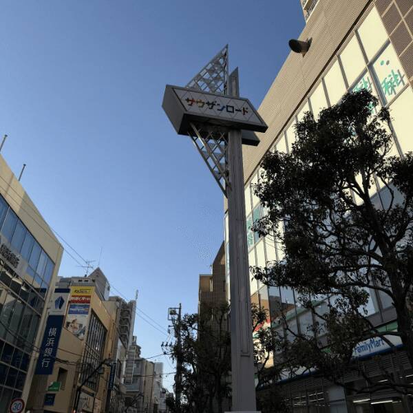 オリックス銀行アパート融資実績：駅別分析シリーズ「小田急小田原線 小田急相模原駅」