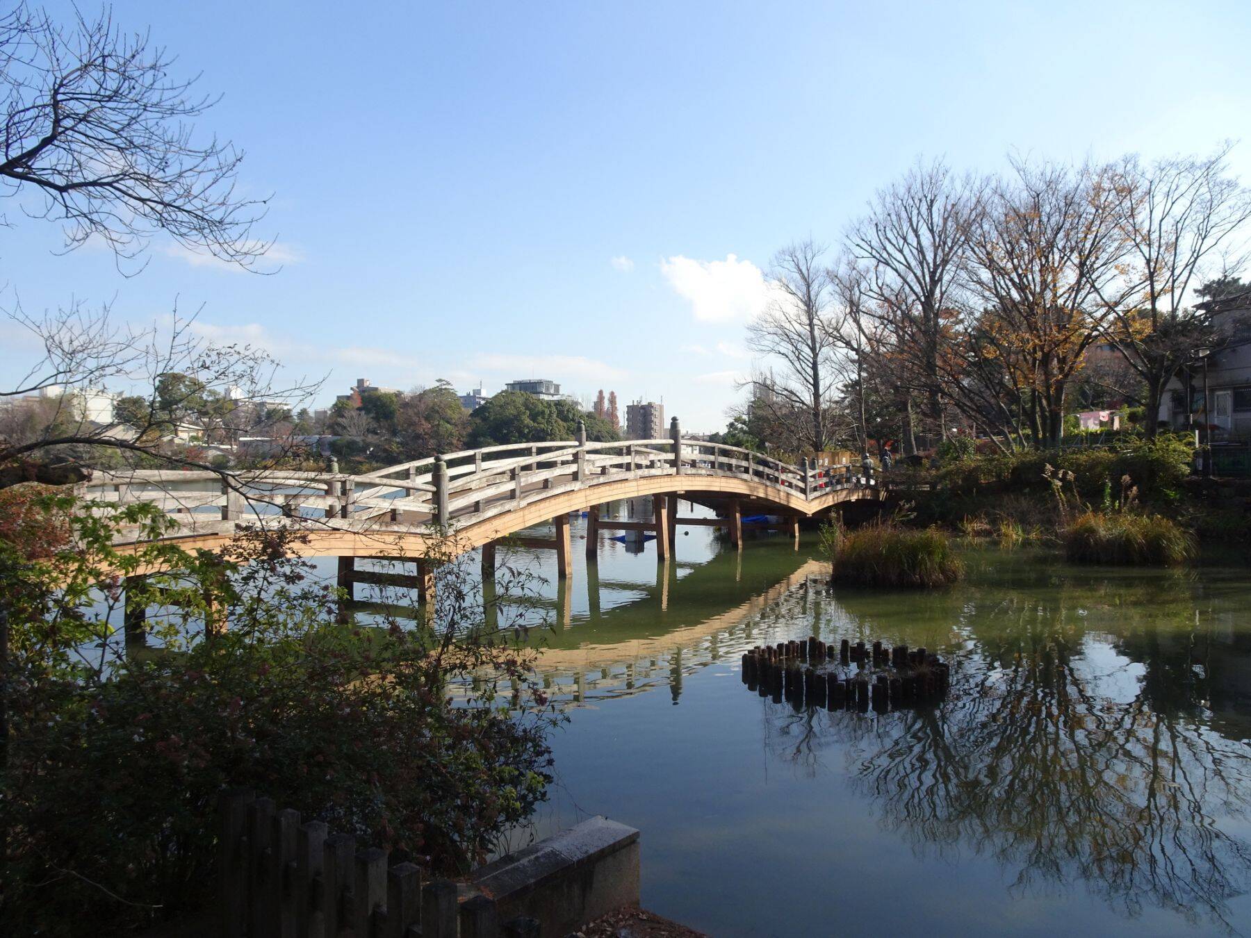 2026年を駆け抜けろ!  ウマ年の神社3選㊤…名馬「池月」の千束八幡神社（東京・大田）