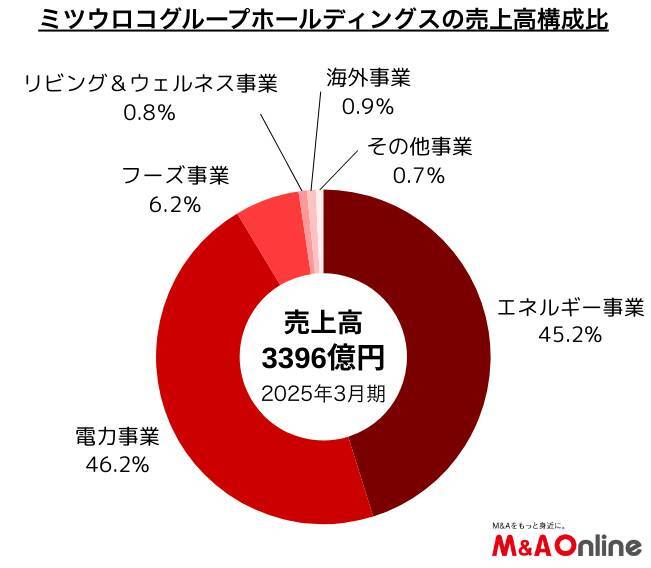 エネルギー事業中堅の「ミツウロコグループホールディングス」新興のアクセサリーブランドを子会社化