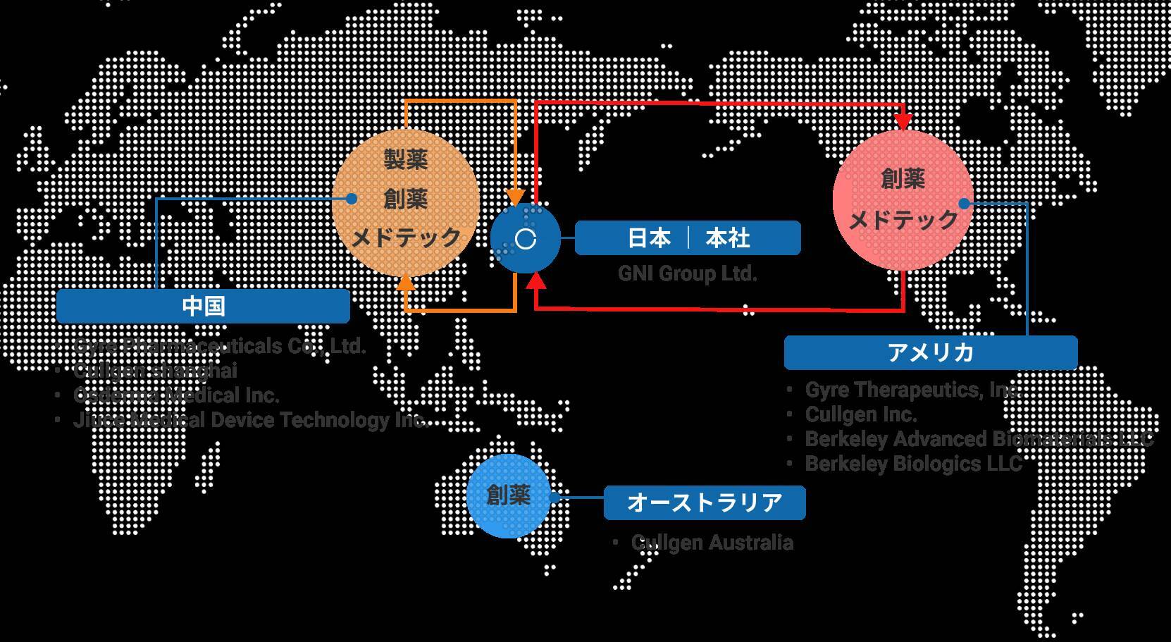 【ジーエヌアイグループ】M＆Aによる「中国創薬」「米国生体材料」「国内安定収益」のタッグで成長軌道を描く
