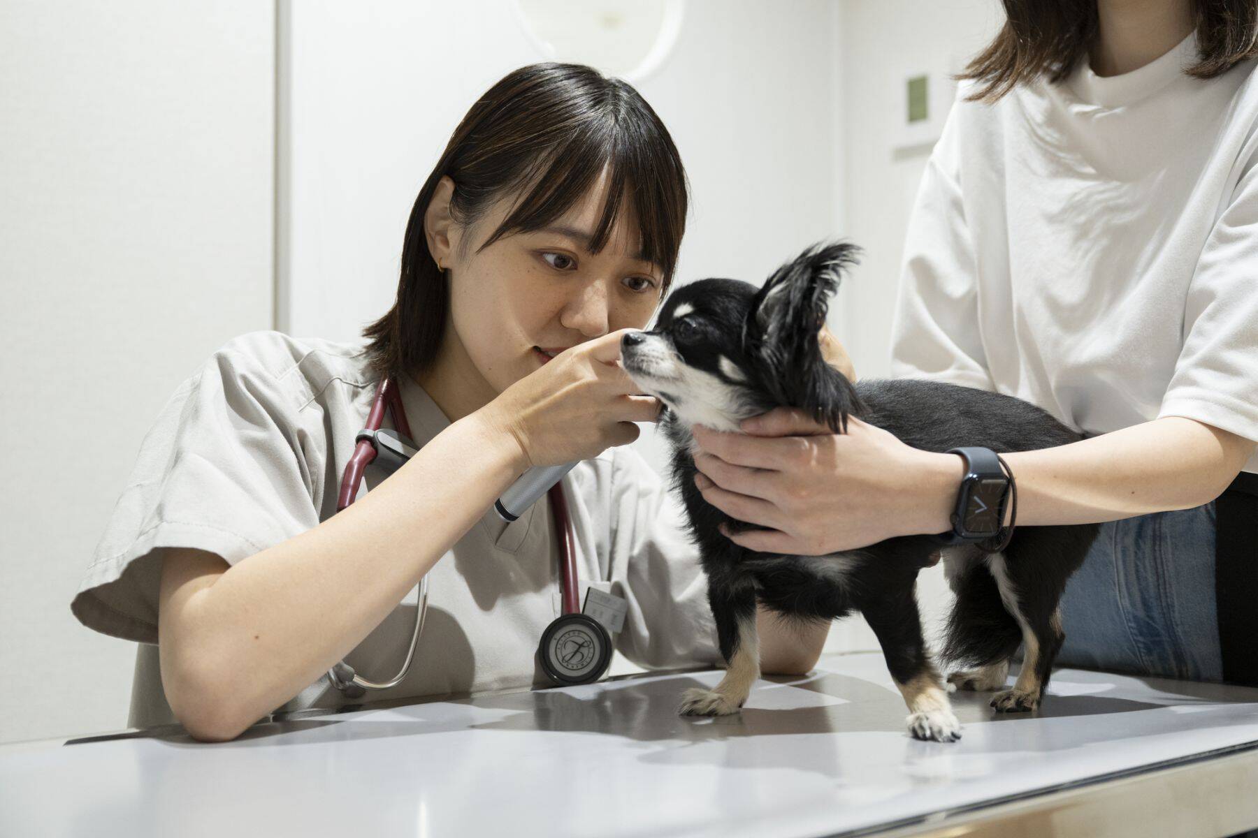 【M＆A﻿成長戦略を聞く⑥】Withmalホールディングスが動物病院を束ねる理由