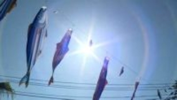 各地で今年最高気温更新　青空広がるかつおの街に「かつおのぼり」掲揚　鹿児島県枕崎市