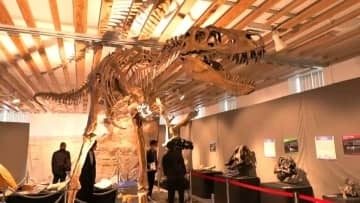 まるで博物館…姶良市役所で「恐竜博物展」　あす20日から開催　鹿児島