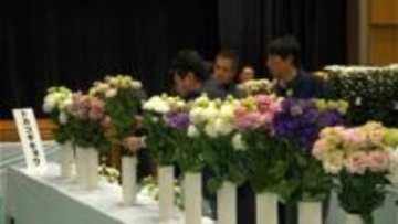 甘い香りに包まれてフラワーコンテスト　人気のトルコギキョウの部門を新設　鹿児島