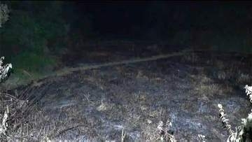 畑で高齢男性が死亡　全身が焼けた状態　火災に巻き込まれたか　鹿児島市