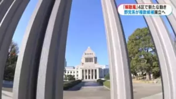 解散風強まる中…国民民主県連が鹿児島4区に初の候補者擁立へ　調整つかず社民と競合へ