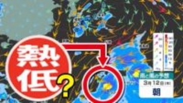 【台風のたまご＝熱帯低気圧】発生へ 「父島」のすぐ南に北上か【雨風シミュレーション７日（土）～１６日（月）／ 全国各都市の週間予報】