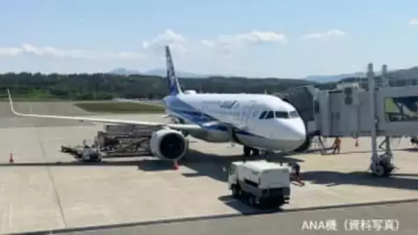 ANA30日も6便欠航　約530人に影響「30日はこれ以上の欠航なし」　エアバス320・321型機に欧州航空安全庁が整備指示