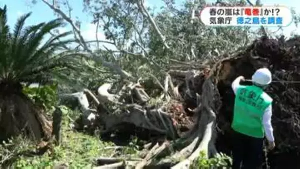 春の嵐は“竜巻か？”気象庁が現地調査　48棟の屋根や瓦飛ぶ　突風とみられる被害　鹿児島・徳之島