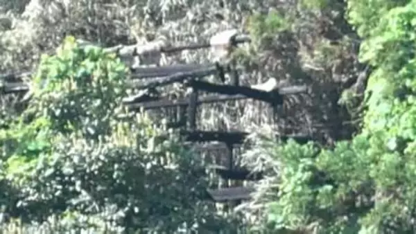 鹿屋市で建物が全焼　焼け跡から遺体　鹿児島