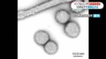 インフルエンザ感染者　3週連続増加　感染者の20歳未満が約76％