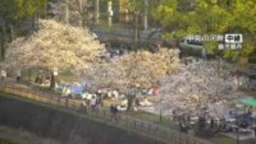 鹿児島で「桜満開」発表　甲突川には花見客