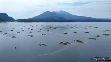 鹿児島湾の赤潮で養殖ブリ2万3000匹被害　県漁協牛根支所の年間生産量の約1.7％　プランクトン減少も現場では緊張続く