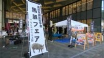県内5つの農業高校生が育てた黒豚の販売会　鹿児島