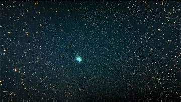 まるで宇宙空間を漂っているよう　奄美大島でサンゴの産卵始まる　鹿児島