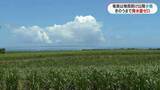 「奄美大島は少雨　今月は21日まで降水量ゼロ」の画像1
