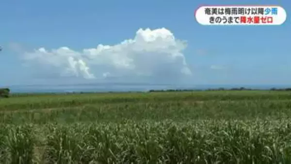 奄美大島は少雨　今月は21日まで降水量ゼロ