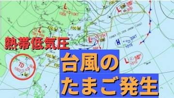 【台風のたまご発生】熱帯低気圧「台風6号と同じような進路」の予想も【雨・風シミュレーション4日（木）～8日（月）】台風情報に今後注意　気象庁天気図詳しく