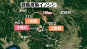 野生のイノシシが豚熱　鹿児島県内3例目　農家からは「恐怖」の声