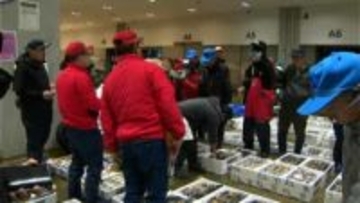 今年の最高値は12万円超のキハダマグロ　鹿児島市魚類市場で初競り