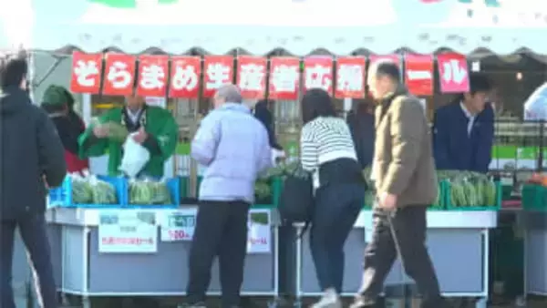 寒波で指宿産ソラマメに被害　鹿児島市で生産者応援セール