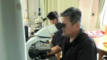 養殖ブリ被害2万匹超　鹿児島湾の赤潮、県が広範囲で水質調査