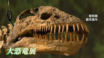 大迫力！全長11mの首長竜が鹿児島にやってきた！黎明館で「大恐竜展」始まる