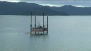 自衛隊の港湾施設整備へ奄美大島・瀬戸内町の港を埋め立て申請方針　防衛省