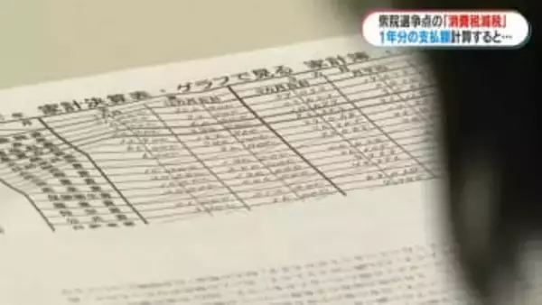 5万円もお得に…食料品の消費減税で年間いくら得する？　家計簿から見るその効果　でも財源は…