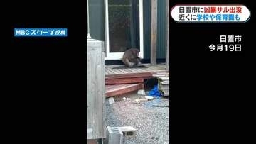 「家に逃げてもドアをたたいてくる」住宅街にサル出没　縁側で毛づくろい…住民は警戒　鹿児島・日置市