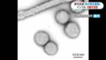 インフルエンザ１医療機関あたりの感染者数全国ワースト　「B型が9割」高熱なくて感染も　鹿児島