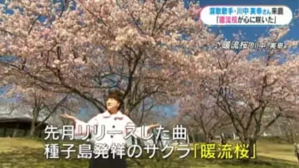 川中美幸さんの新曲は種子島発祥の品種「暖流桜」作詞は鹿児島出身　ふるさと思い