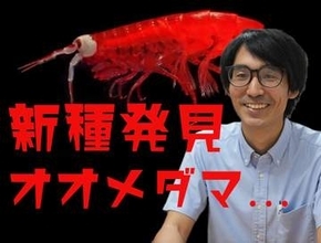 水深1200mに“大きな白い眼” 新種「オオメダマヨコエビ」発見の裏側…「名前がないと絶滅すら分からない」33歳研究者が「深海の小さな生き物」を追う理由