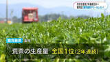 「鹿児島が荒茶生産量2年連続日本一　世界的な抹茶ブームも追い風に　茶葉販売店からも喜びの声「すそ野を広げたい」」の画像1