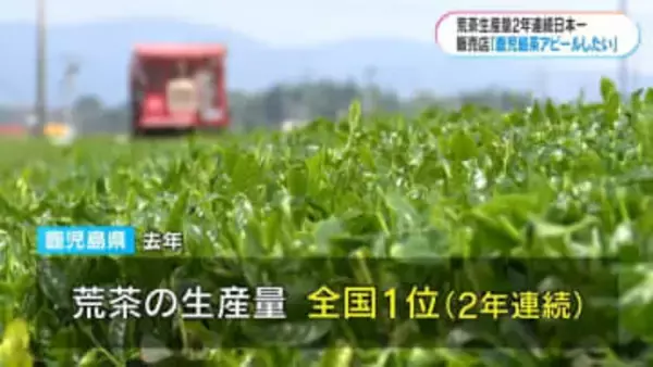 鹿児島が荒茶生産量2年連続日本一　世界的な抹茶ブームも追い風に　茶葉販売店からも喜びの声「すそ野を広げたい」