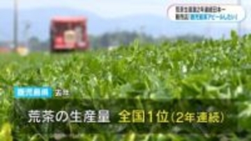 鹿児島が荒茶生産量2年連続日本一　世界的な抹茶ブームも追い風に　茶葉販売店からも喜びの声「すそ野を広げたい」
