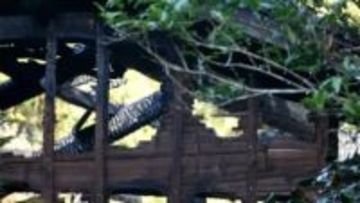 「風呂場から火 早く来て」日置市で住宅など6棟焼ける火事　6棟中5棟全焼　けが人なし　鹿児島