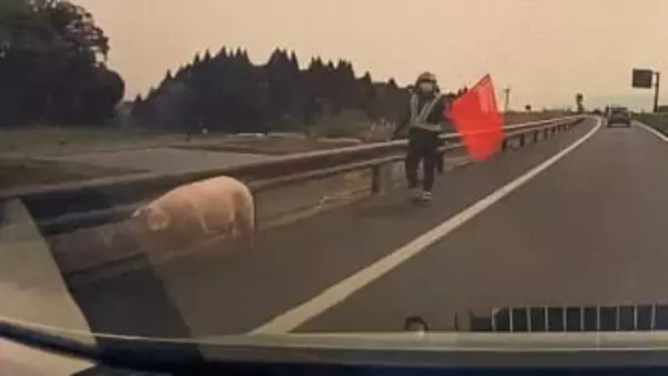 「高速道路にブタがいる」東九州自動車道でドライバーから通報　鹿児島