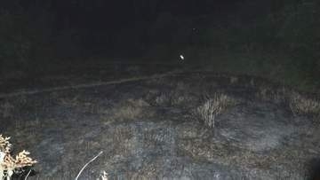 畑で全身が焼けた男性見つかる　娘が発見し通報、現場で死亡確認　鹿児島市
