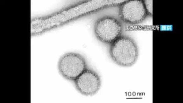 インフルエンザ患者2000人超　4週連続増加　流行発生警報継続中