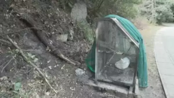 「放火してごみステーションを燃やした」「他にもやった」器物損壊容疑で20歳～16歳の男女３人逮捕　桜島で相次ぐ他の不審火にも関与か