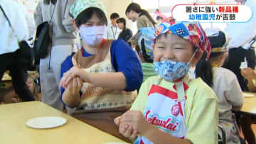 みんなで握るとおいしいね　コメ新品種「あきの舞」でおにぎり教室　“暑さに強い”鹿児島県が10年かけ開発