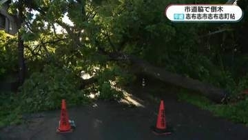 台風6号接近　鹿児島・志布志市から中継