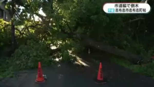 台風6号接近　鹿児島・志布志市から中継