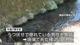 「川で男性会社員(32)遺体　母親が発見　警察は事件と事故の両面で捜査　鹿児島・霧島市」の画像1