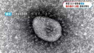新型コロナ感染者が前週の1.8倍　人の移動増える夏に増加傾向　鹿児島県