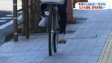 自転車も“青切符”4月から反則金制度　信号無視6000円、ながら運転1万2000円…113行為が対象　県警が注意呼びかけ